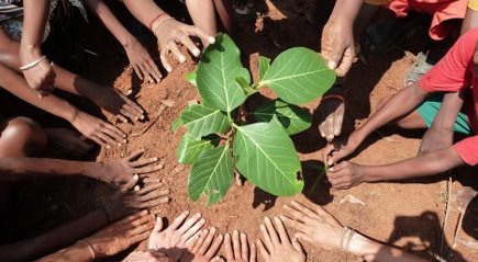 Environmental Protection